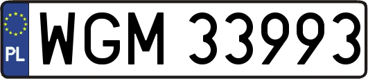WGM33993