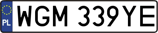 WGM339YE