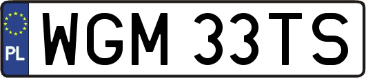 WGM33TS