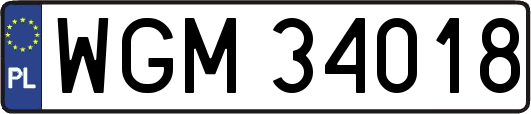 WGM34018