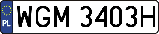 WGM3403H