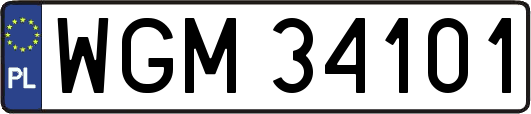 WGM34101