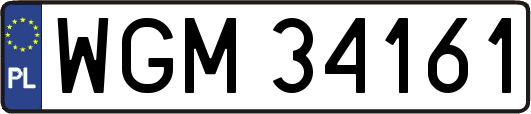 WGM34161