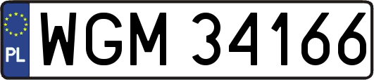 WGM34166