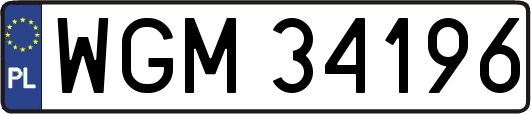 WGM34196