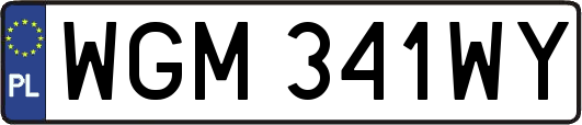 WGM341WY