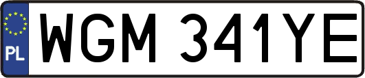 WGM341YE