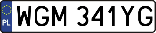 WGM341YG