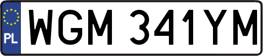 WGM341YM