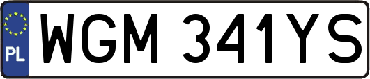 WGM341YS