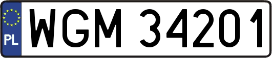 WGM34201