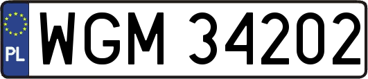 WGM34202