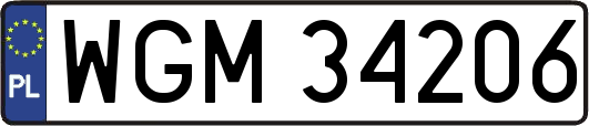 WGM34206