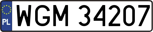 WGM34207