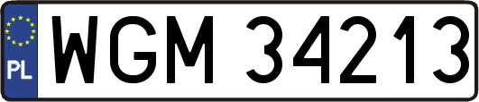 WGM34213