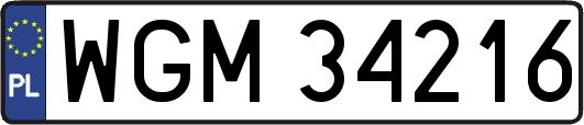 WGM34216