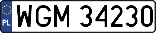 WGM34230