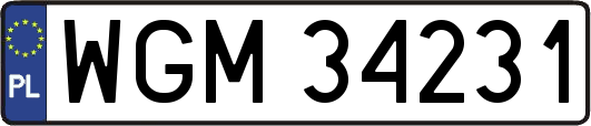 WGM34231