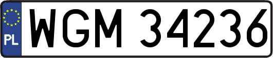 WGM34236