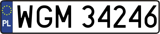 WGM34246