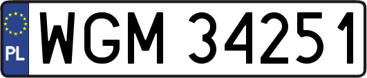 WGM34251