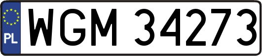 WGM34273