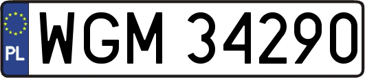 WGM34290