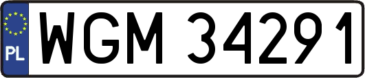 WGM34291