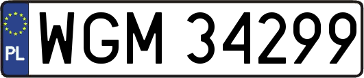 WGM34299