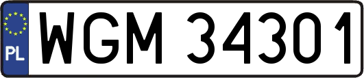 WGM34301