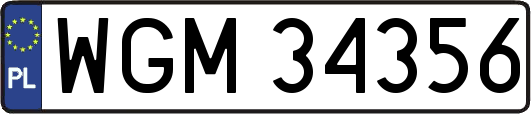 WGM34356