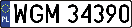 WGM34390