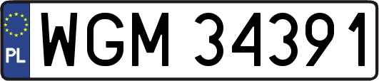 WGM34391