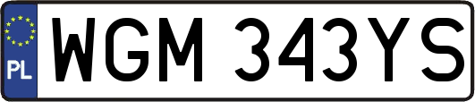WGM343YS