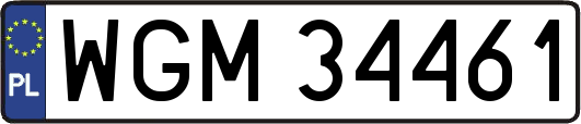 WGM34461