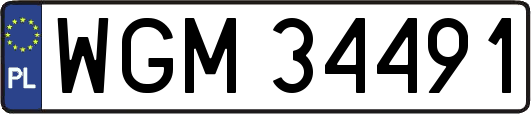 WGM34491