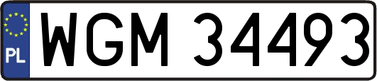 WGM34493