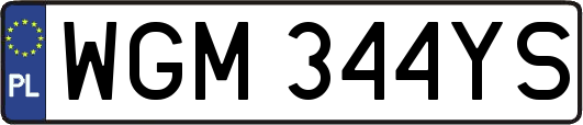 WGM344YS