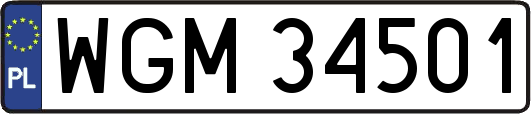 WGM34501