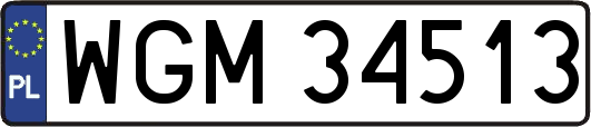 WGM34513