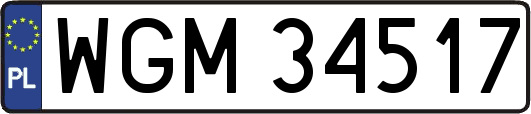 WGM34517