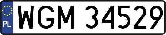 WGM34529