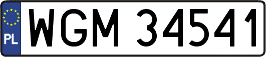 WGM34541