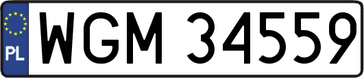 WGM34559