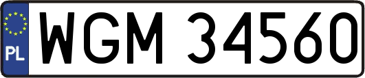 WGM34560