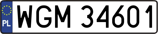 WGM34601