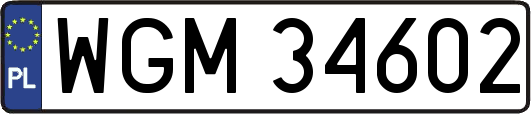 WGM34602