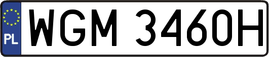 WGM3460H