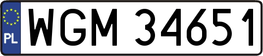 WGM34651