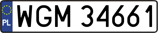 WGM34661